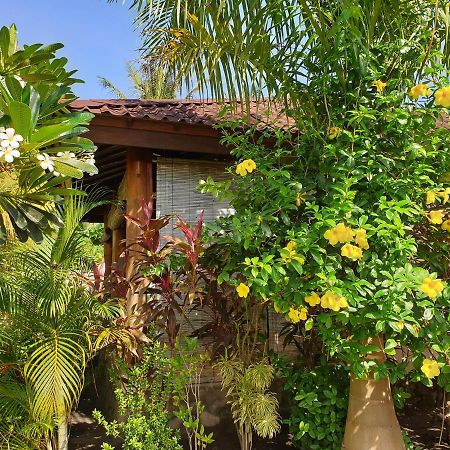 Waiara Village Guesthouse ماوميري المظهر الخارجي الصورة