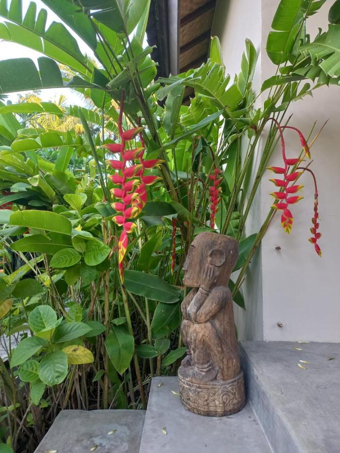 Waiara Village Guesthouse ماوميري المظهر الخارجي الصورة