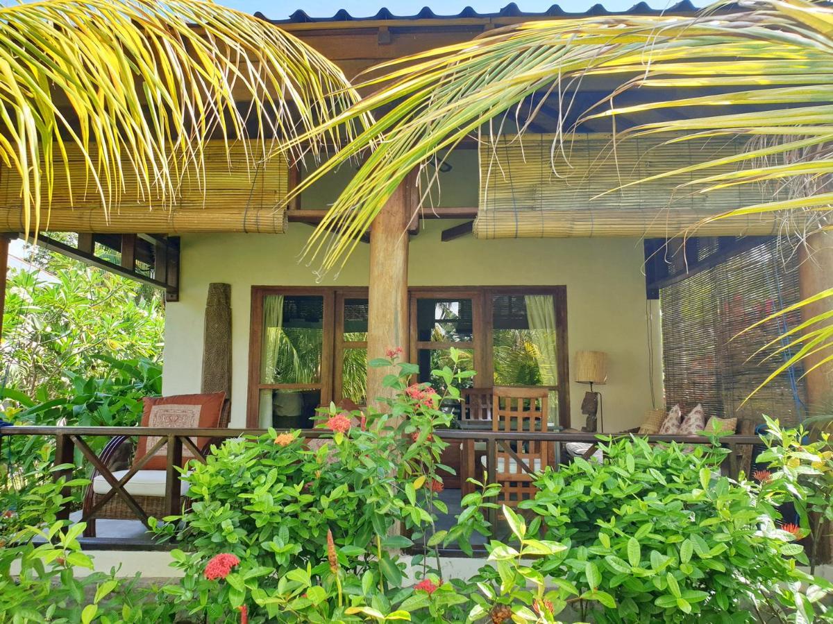 Waiara Village Guesthouse ماوميري المظهر الخارجي الصورة