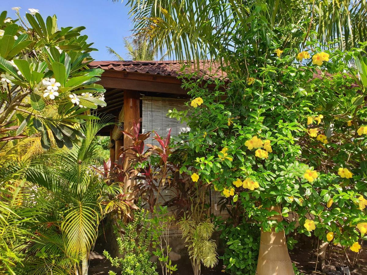 Waiara Village Guesthouse ماوميري المظهر الخارجي الصورة