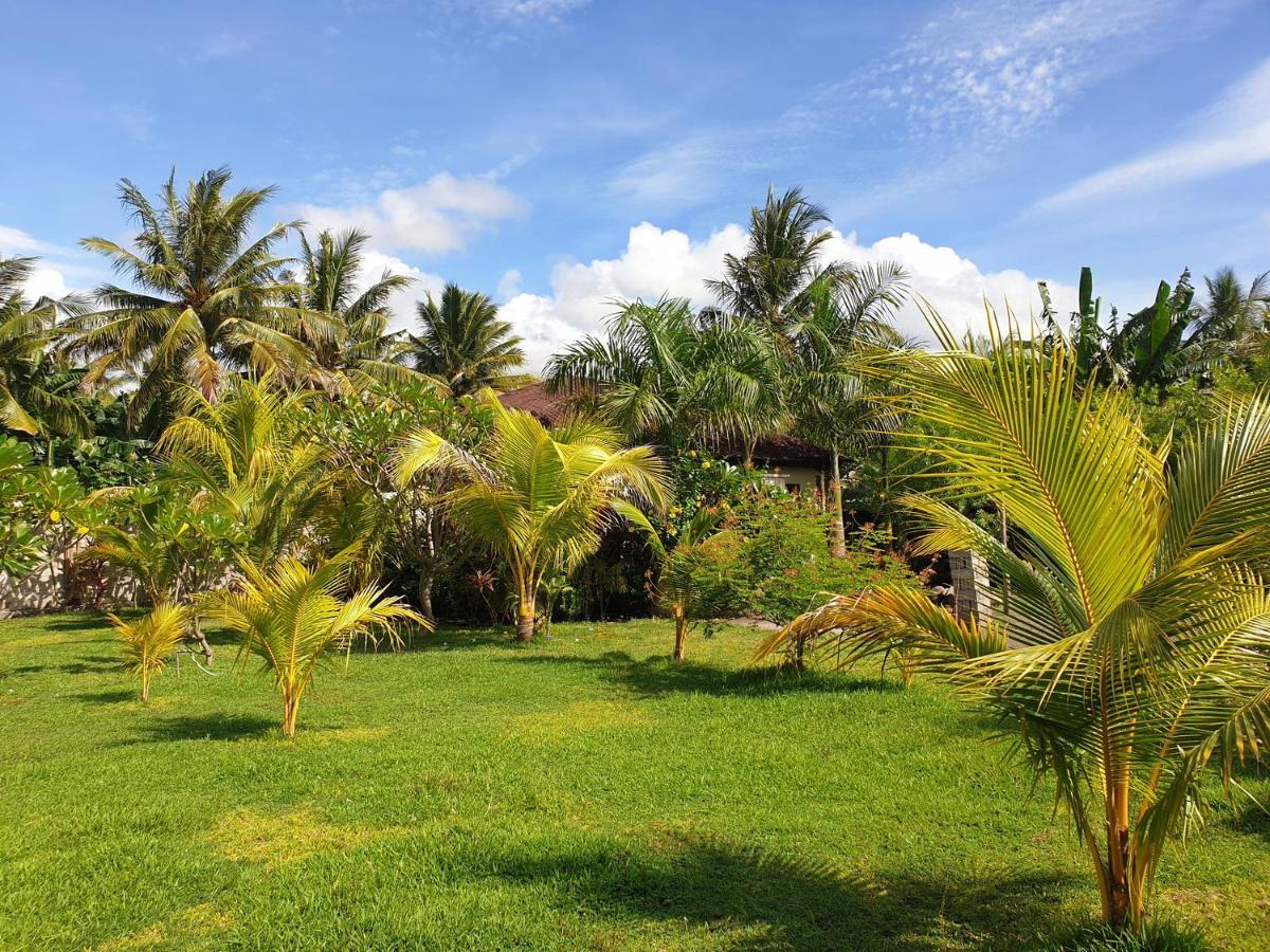 Waiara Village Guesthouse ماوميري المظهر الخارجي الصورة